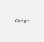 Banca Carige: info sui conti correnti on line